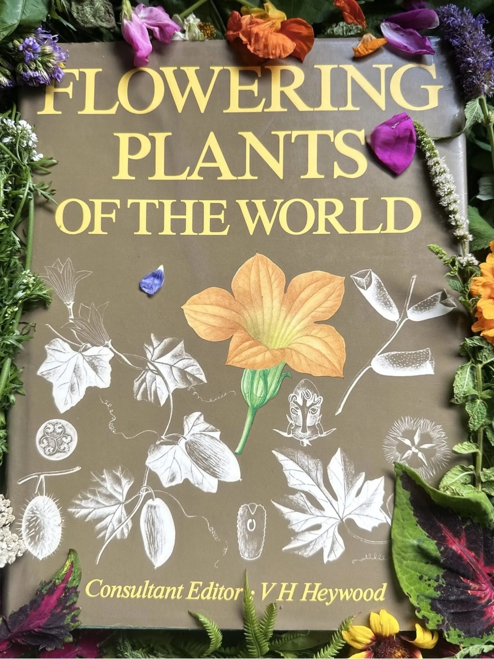 Flowering Plants of the World Vintage Hardcover Book